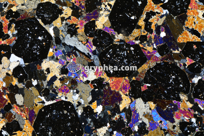 Eclogite LPA x3,5 - gryphea.org